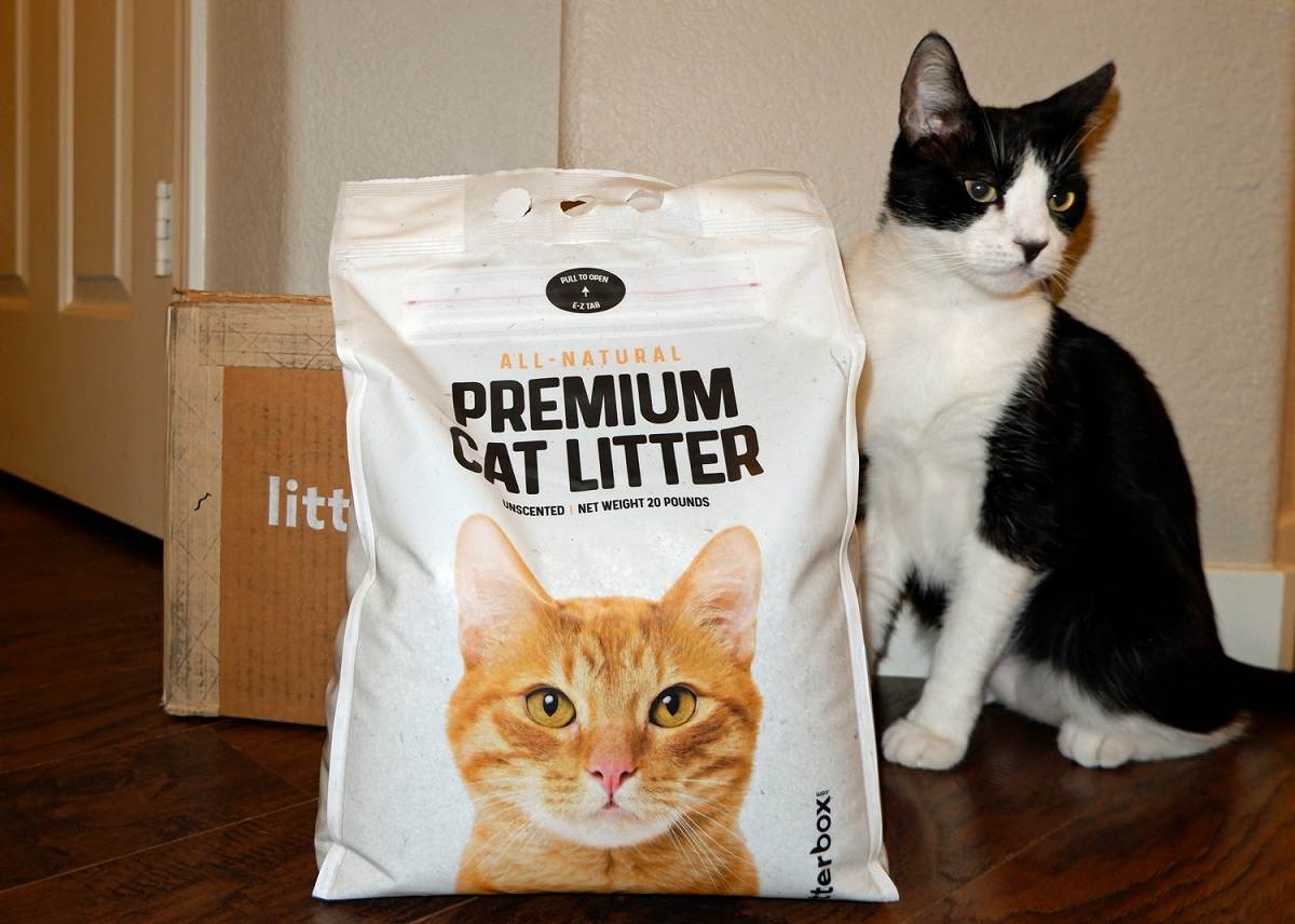 Premium Kattenbakvulling Volledig Natuurlijke Klonterende Kattenbakvulling Review
