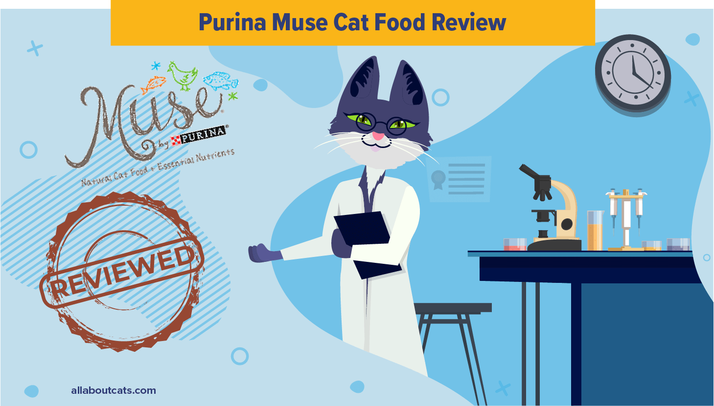 Purina Muse Kattenvoer Review