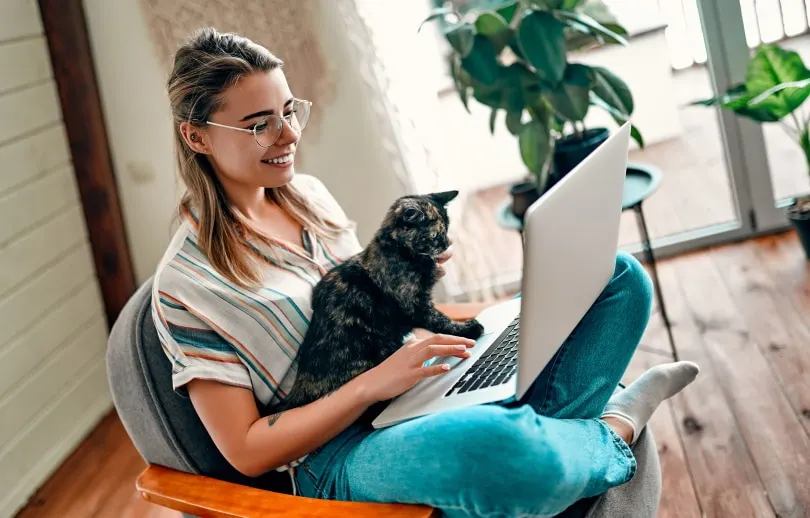 Vrouw met kat die computer gebruikt