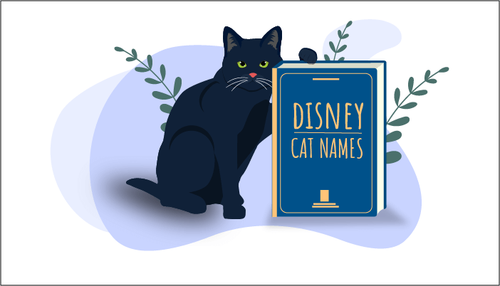 100 meest populaire Disney Kattennamen