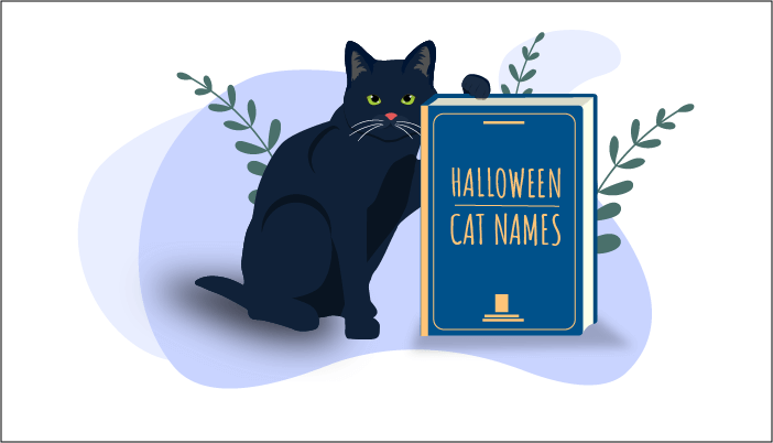100 meest populaire Halloween-kattennamen in 2023