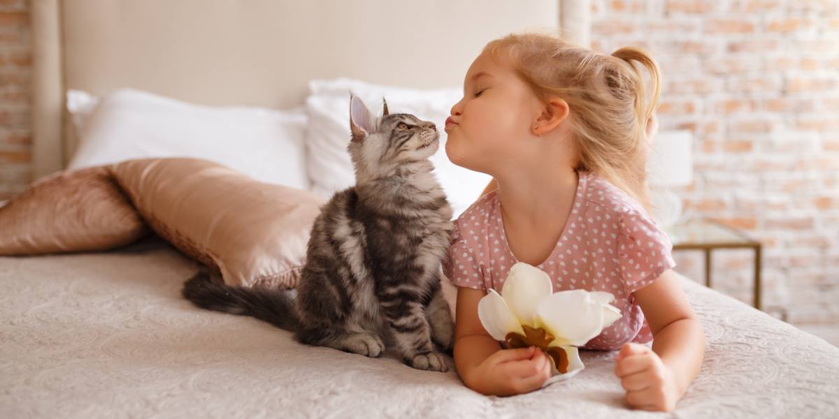 15 leuke feiten over katten voor kinderen