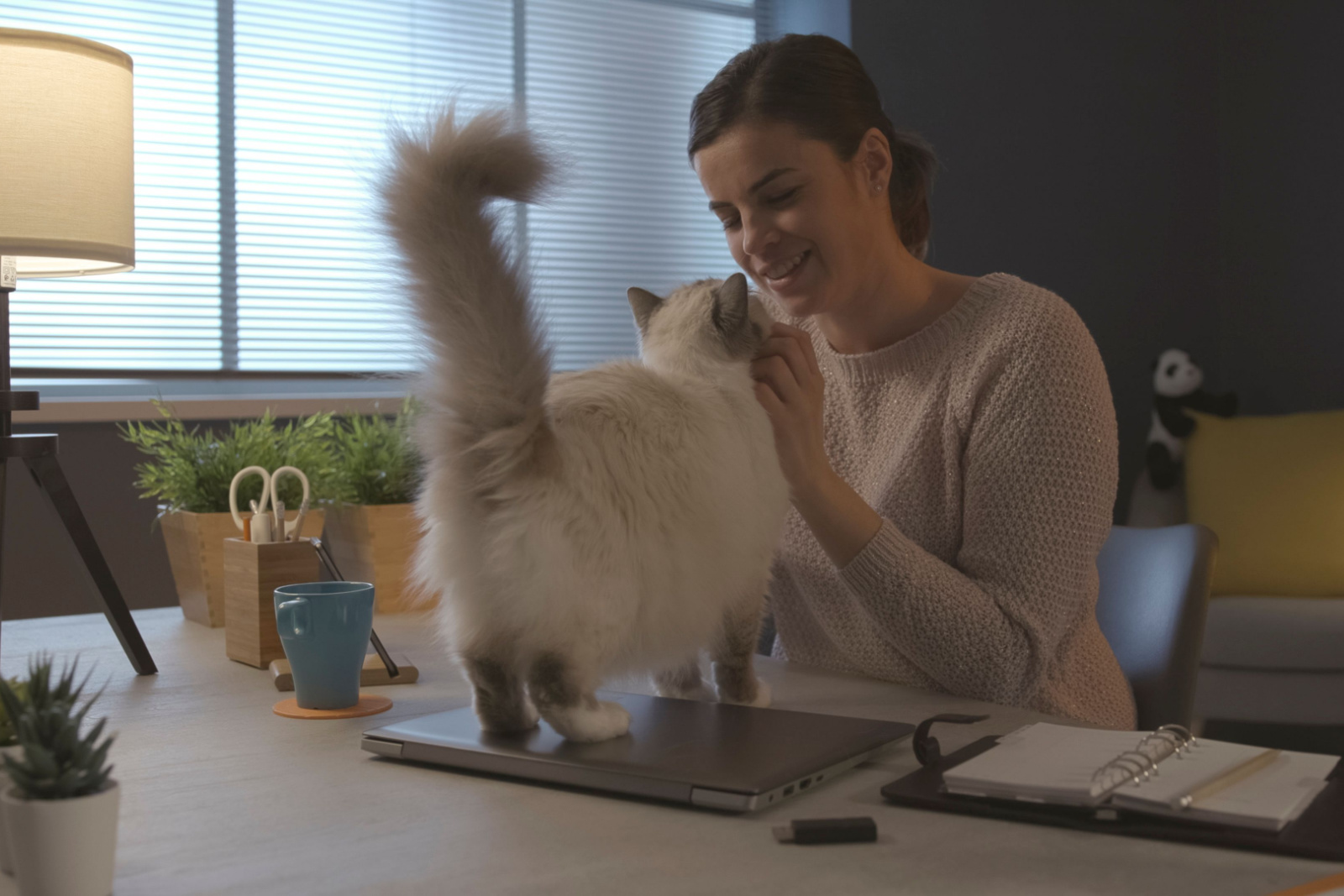 Vrouw die thuis aan het bureau zit en haar mooie kat knuffelt