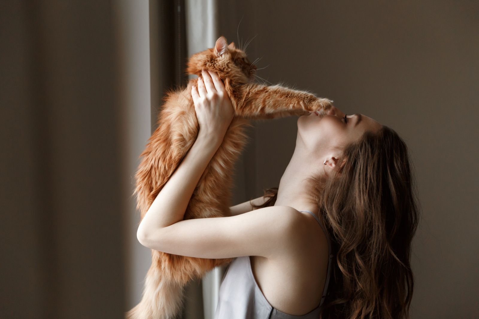 vrouw houdt oranje kat vast en kust zijn poten