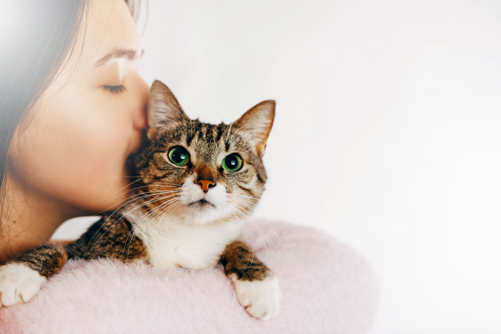 vrouw kust mooie kat, meisje knuffelt kat, witte achtergrond