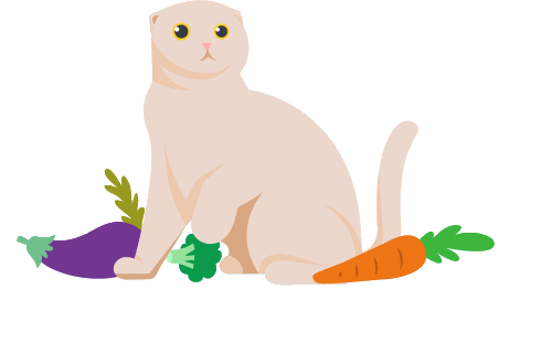 Waarom kan ik mijn kat geen vegetarisch of veganistisch dieet geven