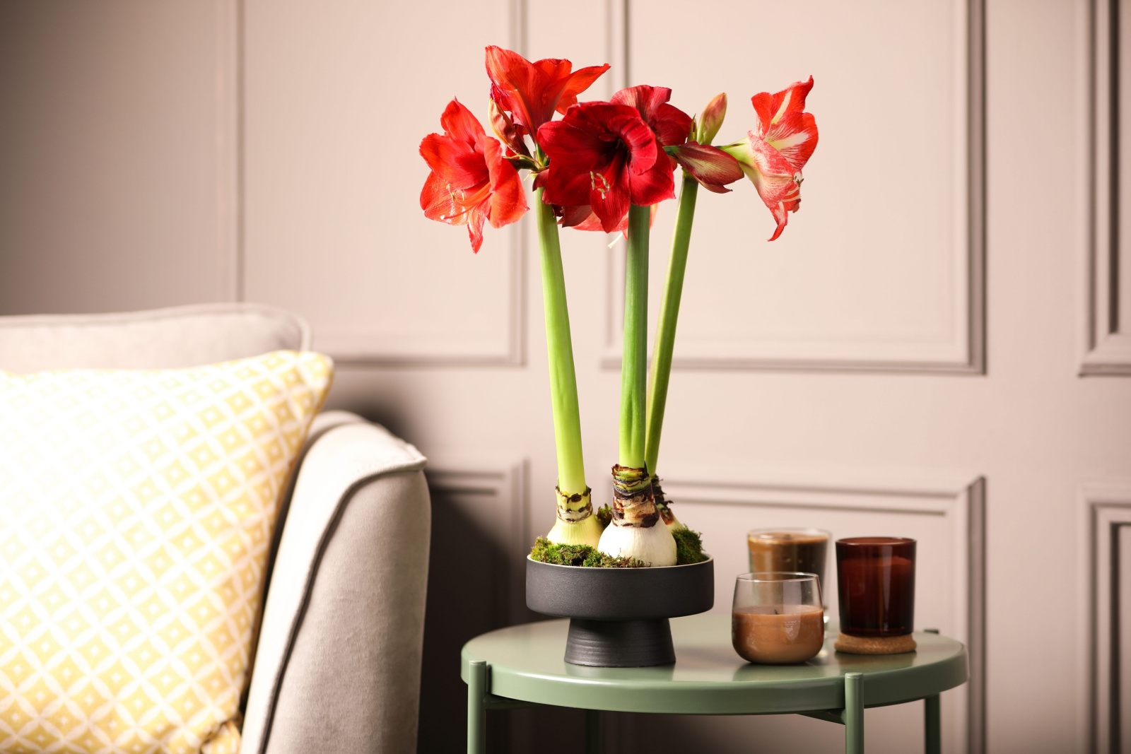 Mooie rode amaryllis bloemen op tafel in de kamer