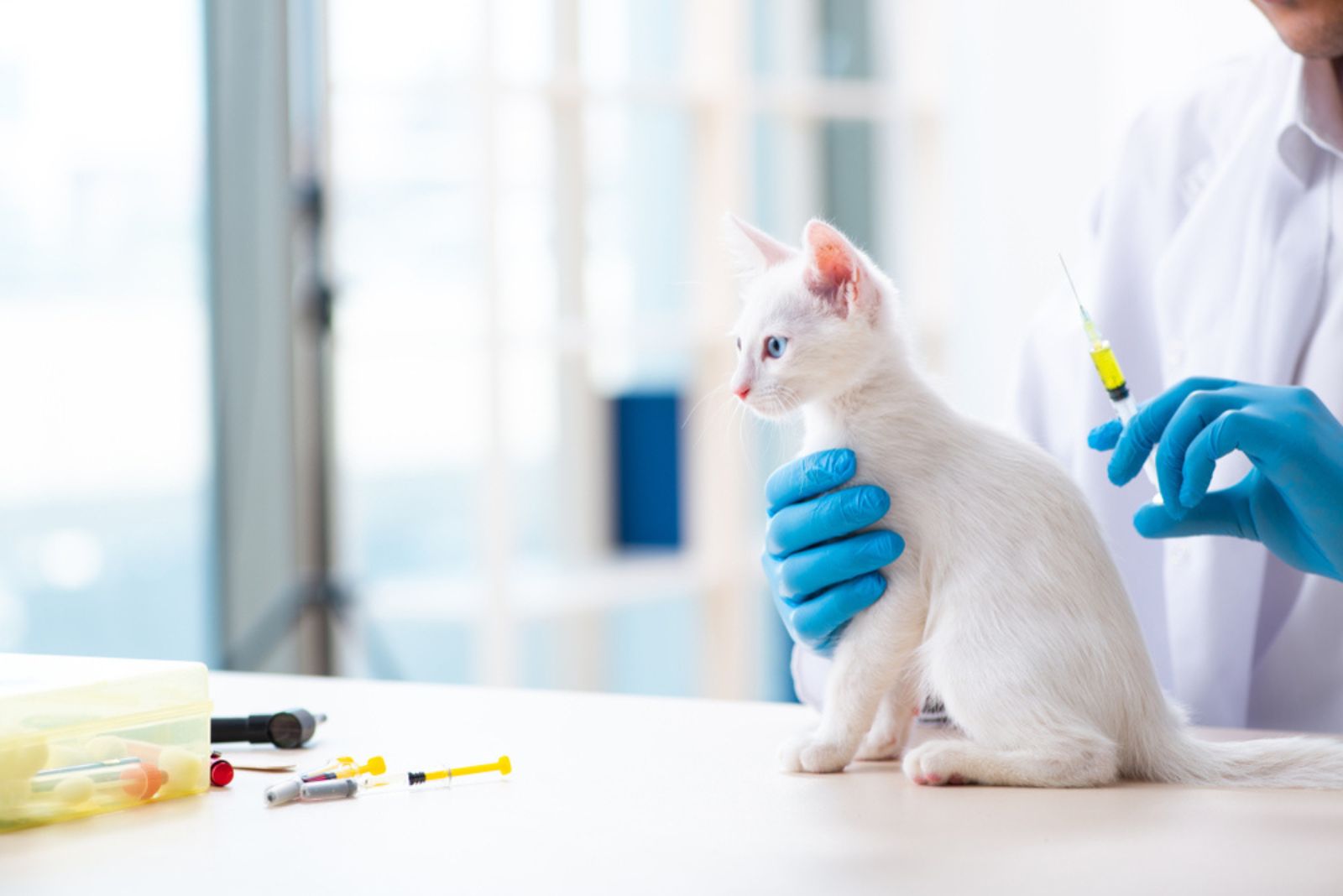 mooie witte kat op vaccinatie bij de dierenarts
