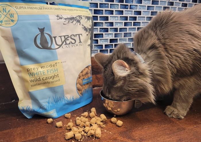 Quest gevriesdroogd kattenvoer wordt geleverd in kleine, lichtgewicht pellets die gemakkelijk met de hand afbrokkelen en snel rehydrateren in vloeistof.