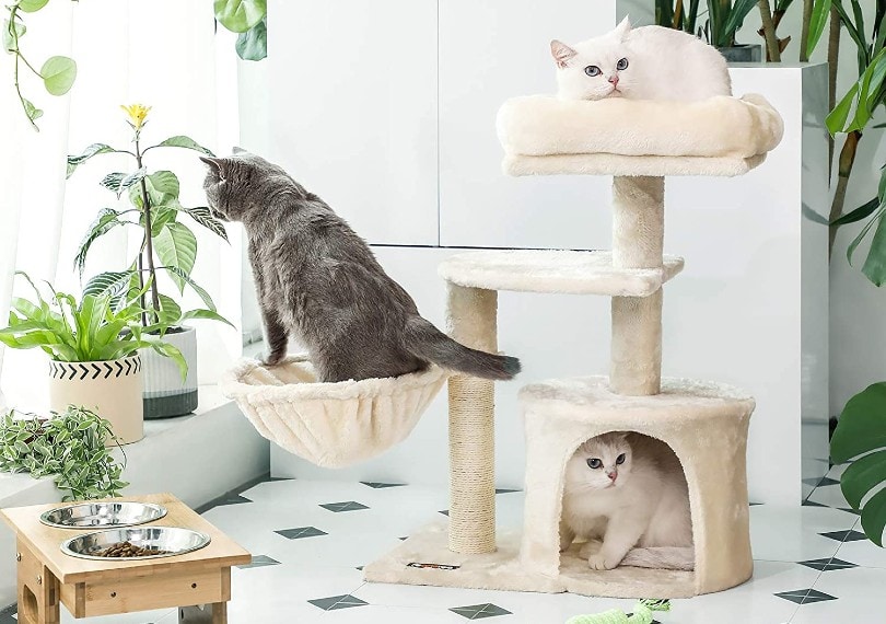 drie katten op krabpaal