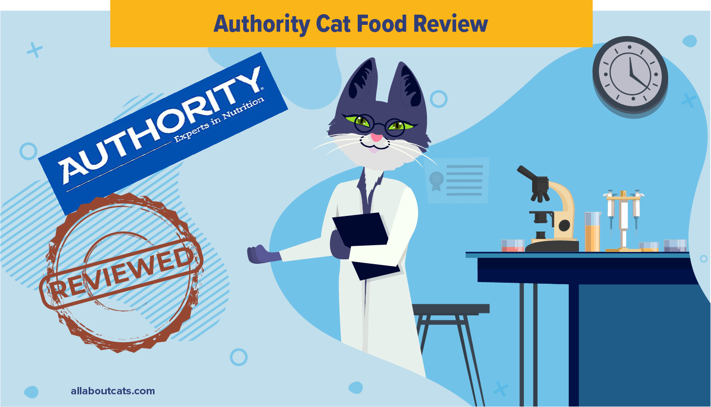 Autoriteit Cat Food Review