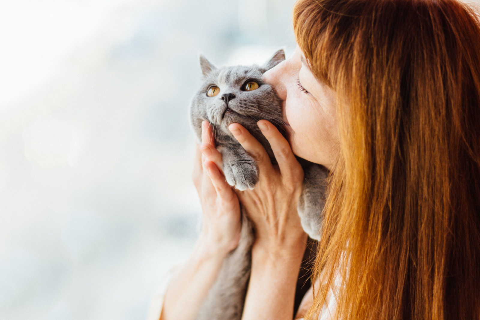 vrouw kust een grijze kat