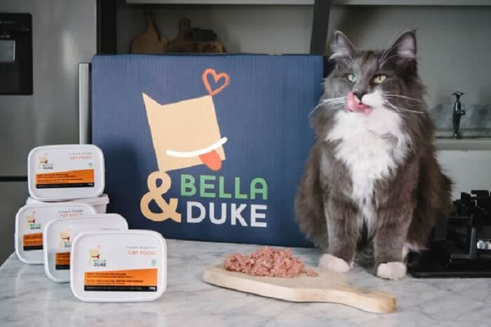 Bella en Duke Cat Food Beoordeling
