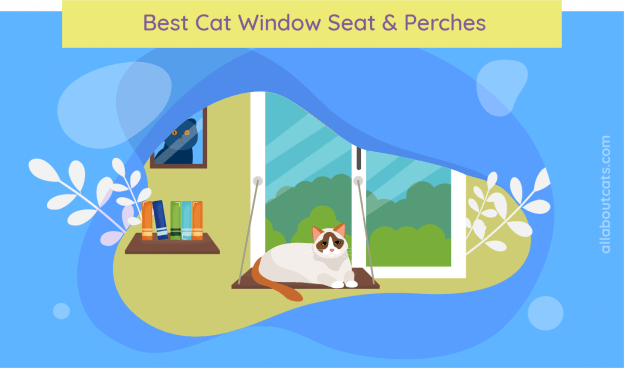 Beste Cat Window Seat &zitstokken