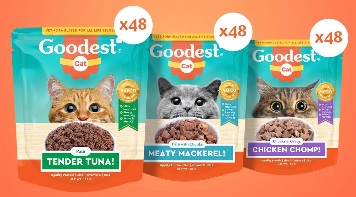 Goedste Kattenvoer Review Belcat Goedste Kattenvoer Review Belcat