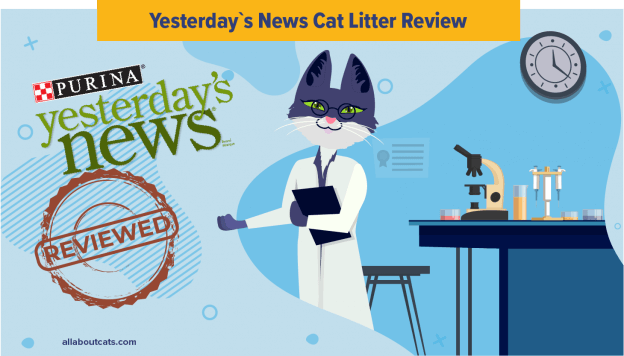 Onbevooroordeeld Gisteren Nieuws Kattenbakvulling Review - Stopgezet 2023