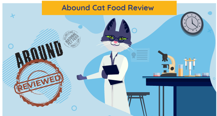 Onbevooroordeelde Abound Cat Food Review in 2023