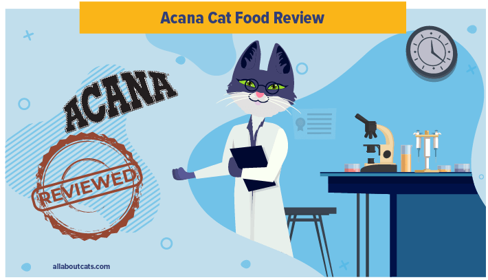 Onbevooroordeelde Acana Cat Food Review in 2023