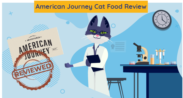 Onbevooroordeelde American Journey Cat Food Review in 2023