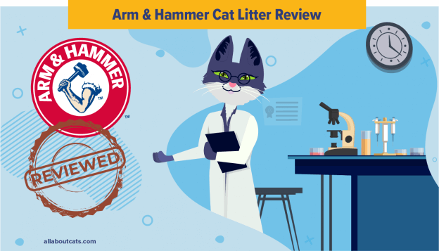 Onbevooroordeelde Arm &Hammer Cat Litter Review 2023