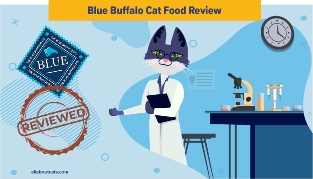 Onbevooroordeelde Blue Buffalo Cat Food Review in 2023