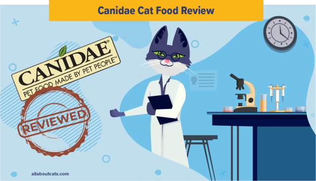 Onbevooroordeelde Canidae Cat Food Review in 2023