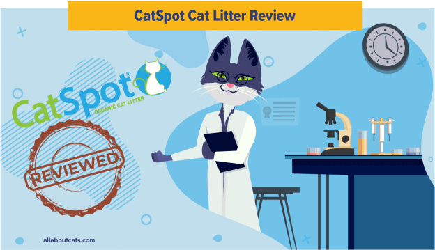 Onbevooroordeelde CatSpot Litter Review 2023