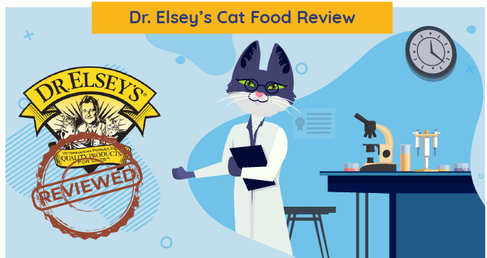 Onbevooroordeelde Dr. Elsey's Cat Food Review in 2023