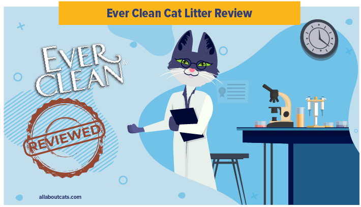 Onbevooroordeelde Ever Clean Litter Review 2023