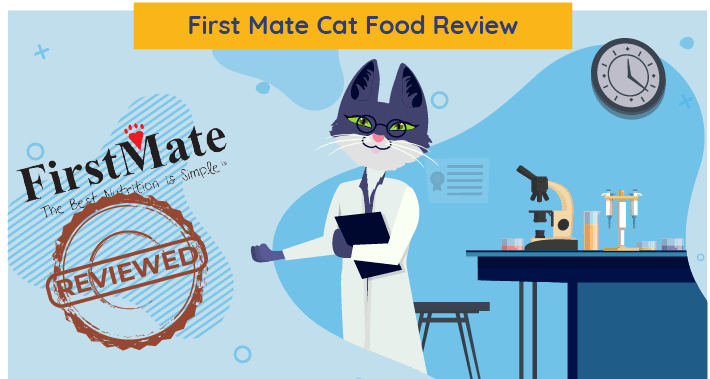 Onbevooroordeelde First Mate Cat Food Review in 2023