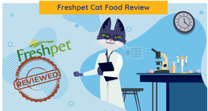 Onbevooroordeelde Freshpet Cat Food Review in 2023