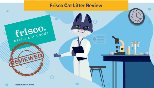 Onbevooroordeelde Frisco Kattenbakvulling Review In 2023