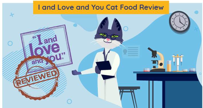 Onbevooroordeelde I and Love and You Cat Food Review in 2023