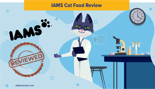 Onbevooroordeelde Iams Cat Food Review in 2023