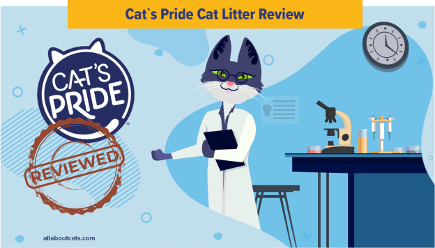 Onbevooroordeelde Kat's Pride Kattenbakvulling Review 2023