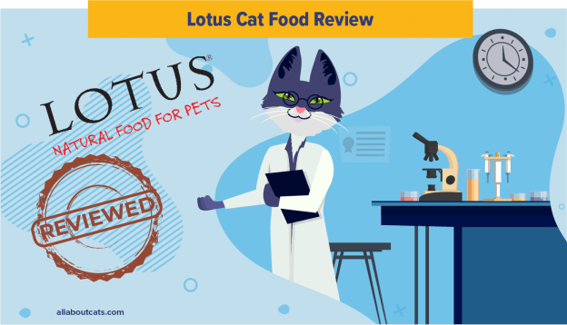 Onbevooroordeelde Lotus Kattenvoer Review In 2023