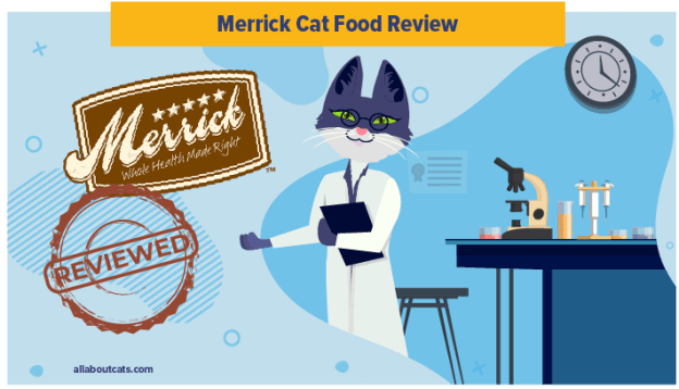 Onbevooroordeelde Merrick Cat Food Review in 2023