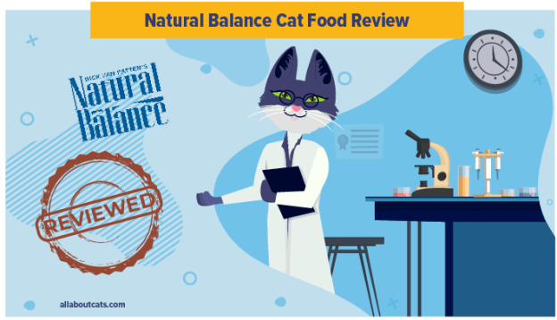 Onbevooroordeelde Natural Balance Kattenvoer Review in 2023