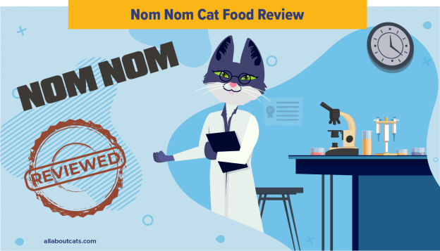 Onbevooroordeelde Nom Nom Cat Food Review in 2023
