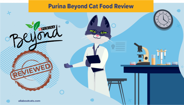 Onbevooroordeelde Purina Beyond Cat Food Review in 2023