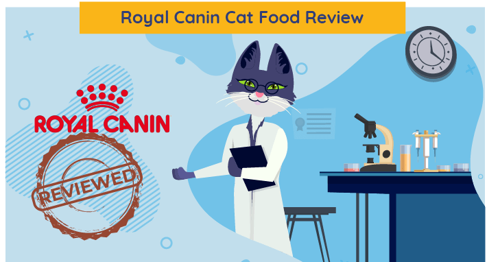 Onbevooroordeelde Royal Canin Cat Food Review in 2023