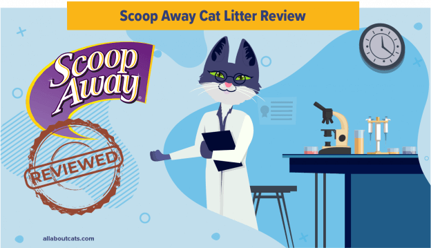 Onbevooroordeelde Scoop Away Kattenbakvulling Review 2023