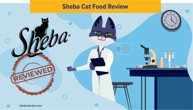 Onbevooroordeelde Sheba Cat Food Review in 2023