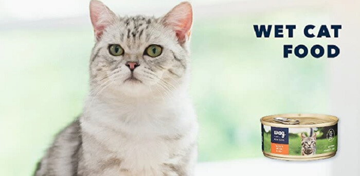 Onbevooroordeelde Wag Cat Food Review - Stopgezet in 2023