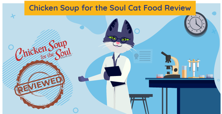 Onbevooroordeelde kippensoep voor de Soul Cat Food Review in 2023