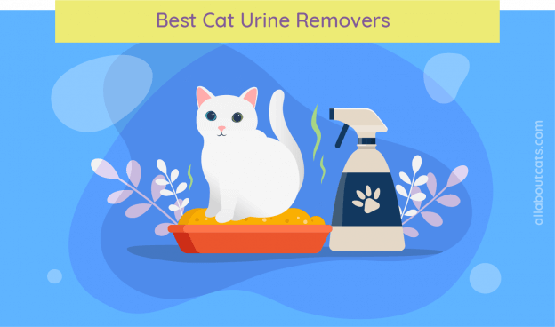 Top 11 Beste Katten urineverwijderaars [Enzyme Cleaners] 2023