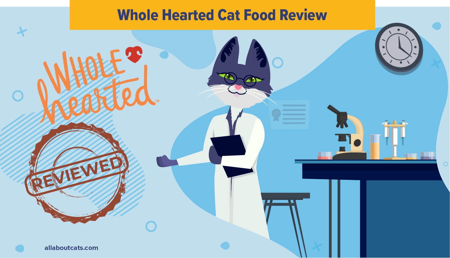 WholeHearted Kattenvoer Review