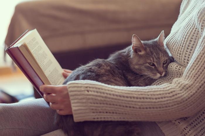 vrouw lees boek kat zitten op schoot