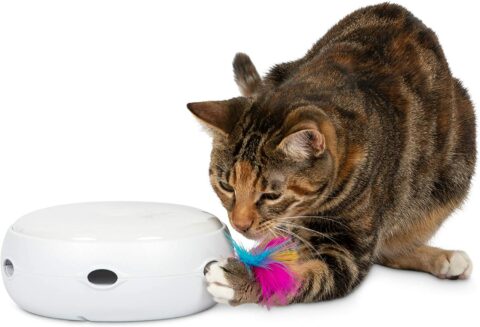 PetFusion Ambush Elektronisch Kattenspeelgoed