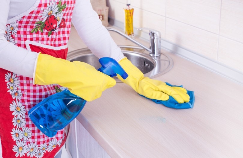 vrouw schoonmaken keukenblad